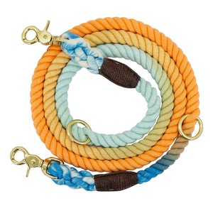 Collar Strap Pet Outdoor Walking Training Long Traction Rope