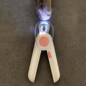 amazon pet nail clipper
andis pet nail clipper
anko pet nail clipper
automatic pet nail clipper
babyliss pro pet led pet nail clipper
babyliss pro pet small led nail clipper
babylisspro tm pet small led nail clipper
best pet nail clipper
best pet nail clippers
best pet nail clippers for cats
best pet nail clippers for dogs
best pet nail grinder
dog nail clipper automatic
blovi pet nail clipper large