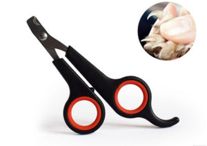 amazon pet nail clipper
andis pet nail clipper
anko pet nail clipper
automatic pet nail clipper
babyliss pro pet led pet nail clipper
babyliss pro pet small led nail clipper
babylisspro tm pet small led nail clipper
best pet nail clipper
best pet nail clippers
best pet nail clippers for cats
best pet nail clippers for dogs
best pet nail grinder
dog nail clipper automatic
blovi pet nail clipper large