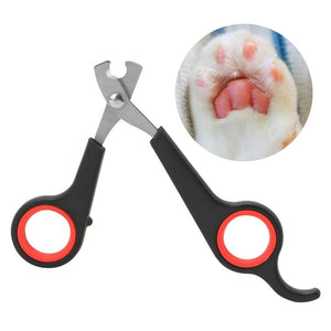 amazon pet nail clipper
andis pet nail clipper
anko pet nail clipper
automatic pet nail clipper
babyliss pro pet led pet nail clipper
babyliss pro pet small led nail clipper
babylisspro tm pet small led nail clipper
best pet nail clipper
best pet nail clippers
best pet nail clippers for cats
best pet nail clippers for dogs
best pet nail grinder
dog nail clipper automatic
blovi pet nail clipper large