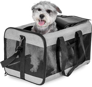 airline approved pet carriers for cargo
airline approved pet carriers in cabin
airline approved pet carriers in cabin canada
airline approved pet carriers in cabin size
airline approved pet carriers in cabin uk
airline approved pet carriers in cabin with wheels
airline approved pet carriers near me
approved pet carriers for airlines
best airline approved pet carriers
best airline approved pet carriers for cargo
best airline pet carriers
best pet carriers
best pet carriers for cats
best pet carriers for cars