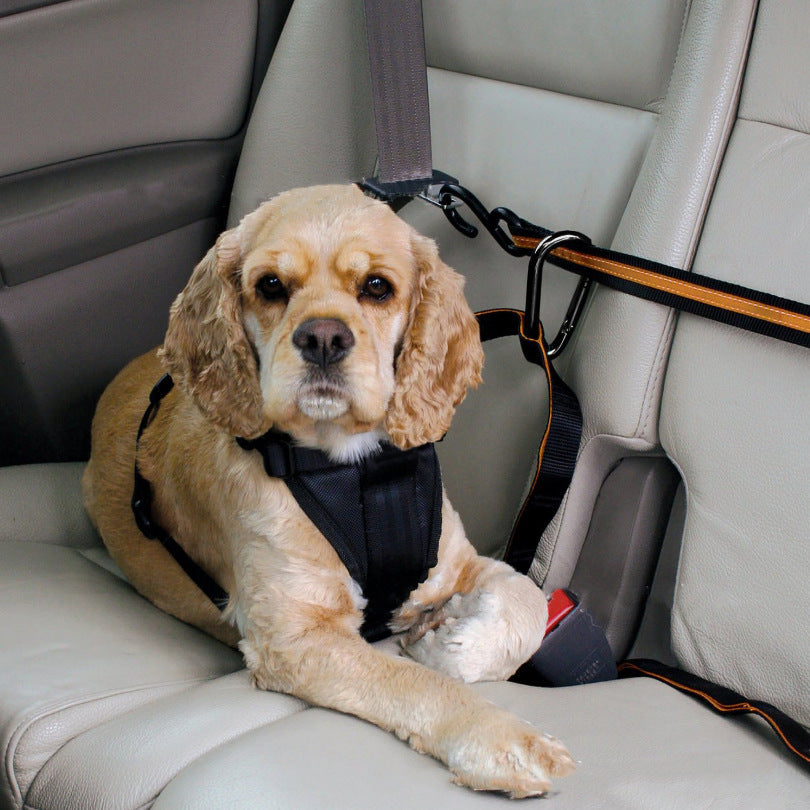 Pet Safety Belt Dual-purpose Car Lanyard