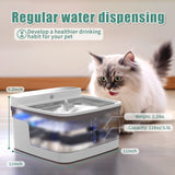 5 gallon water dispenser with pet station
5 litre pet water dispenser jar
advwin pet water dispenser
aldi pet water dispenser
amazon pet water dispenser
anko pet water dispenser
are dog water dispensers safe
argos pet water dispenser
aspen pet water dispenser
auto pet water dispenser
automatic pet water dispenser fountain