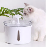 5 gallon water dispenser with pet station
5 litre pet water dispenser jar
advwin pet water dispenser
aldi pet water dispenser
amazon pet water dispenser
anko pet water dispenser
are dog water dispensers safe
argos pet water dispenser
aspen pet water dispenser
auto pet water dispenser
automatic pet water dispenser fountain