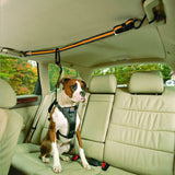 Pet Safety Belt Dual-purpose Car Lanyard